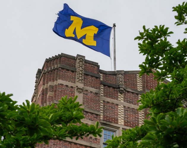 A blue-and-yellow flag with a stylized emblem flies atop a brick building, framed by green tree leaves.